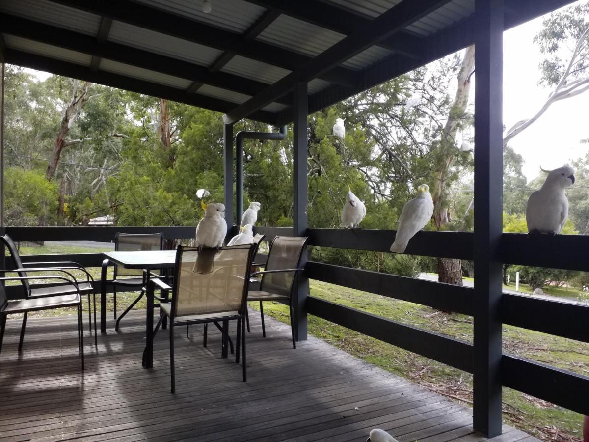 Cockatoo Cabin 홀스갭 외부 사진